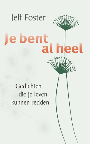 9789088402241 Je bent al heel