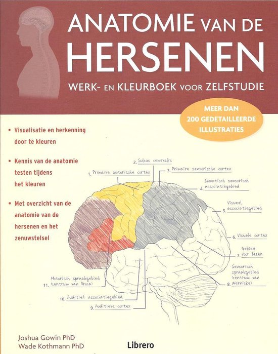 9789463591072 anatomie van de hersenen