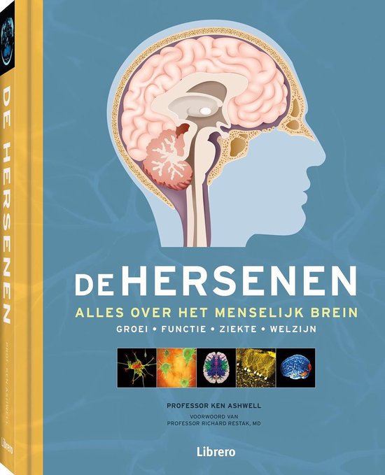 9789463593021 De Hersenen