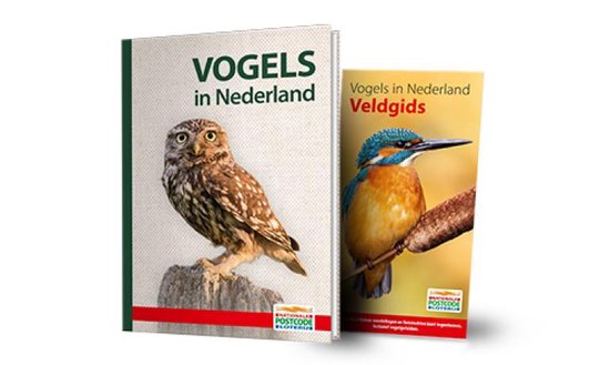 9789464040555 Vogels in Nederland