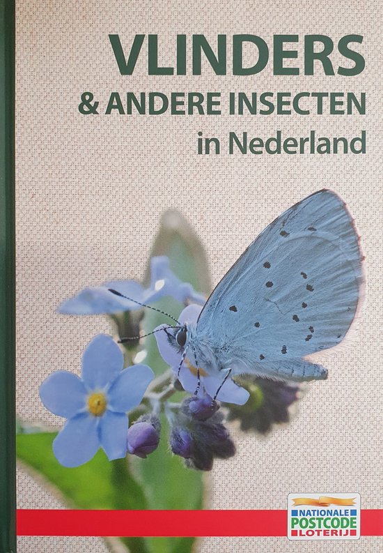 9789464042153 Vlinders amp andere insecten in Nederland