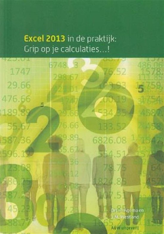 9789490957063 Excel 2013 grip op je calculaties