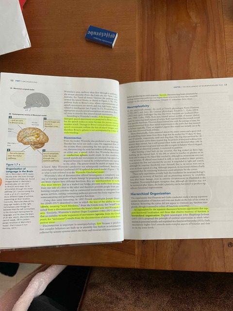 9781429282956-Fundamentals-of-Human-Neuropsychology