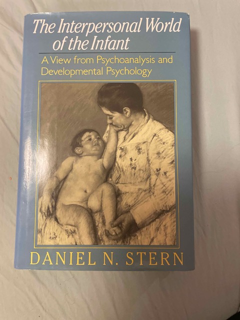 9780465034031-The-Interpersonal-World-of-the-Infant