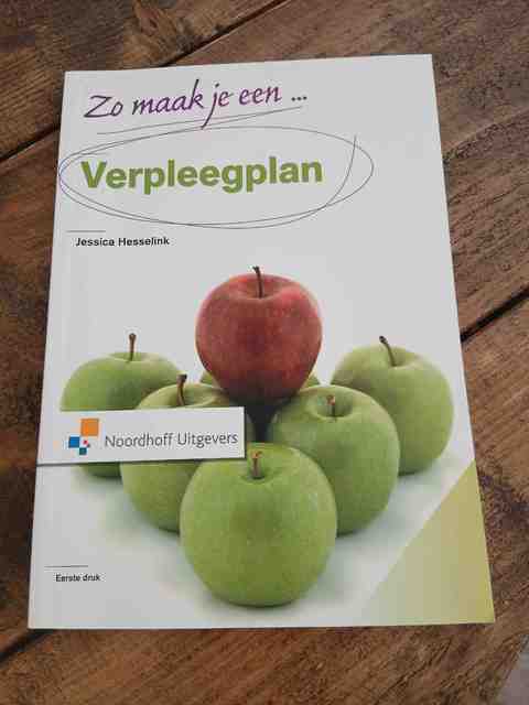9789001804961-Zo-maak-je-een-verpleegplan