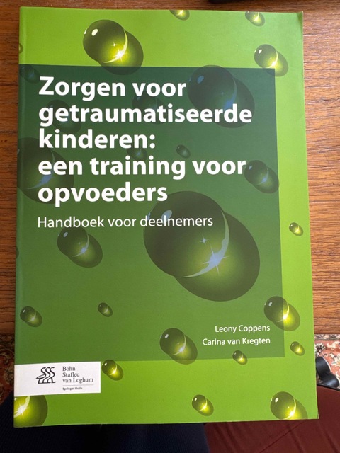9789031397969-Zorgen-voor-getraumatiseerde-kinderen-een-training-voor-opvoeders