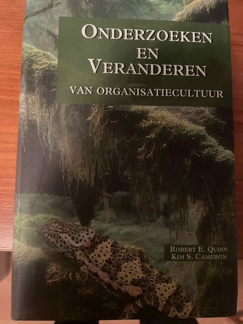 9789052612911-Onderzoeken-en-veranderen-van-organisatiecultuur