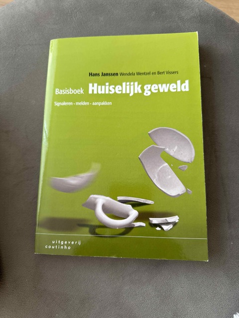 9789046904770-Basisboek-huiselijk-geweld