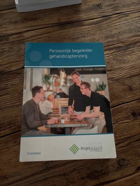 9789037229677-Persoonlijk-begeleider-gehandicapten-zorg