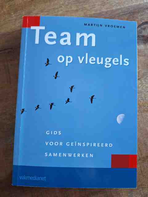 9789013066005-Team-op-vleugels