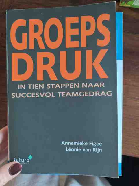 9789492221049-Groepsdruk