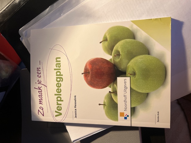 9789001804961-Zo-maak-je-een-verpleegplan