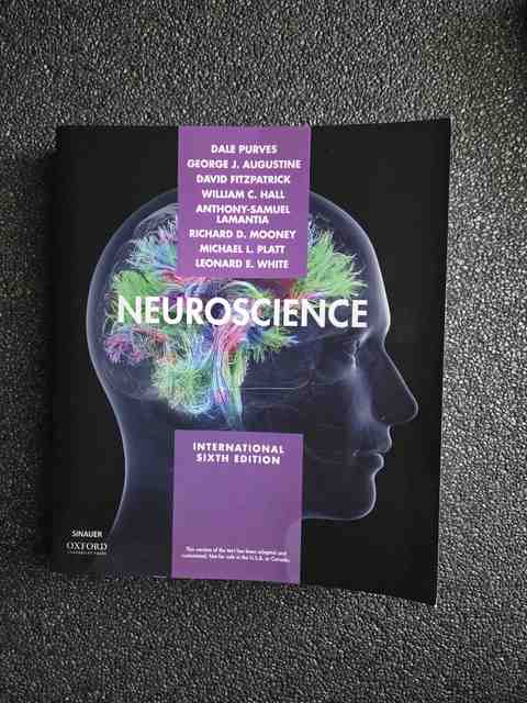 9781605358413-Neuroscience