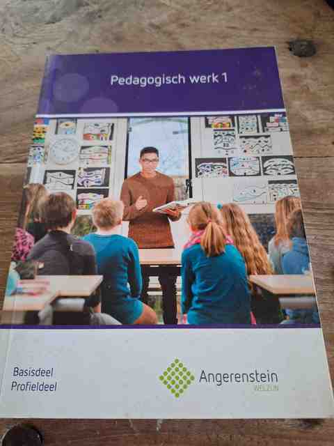 9789037229639-Pedagogisch-Werk-1-Profieldeel-Basisdeel