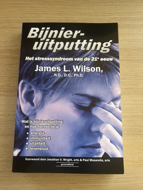 9789079872251-Bijnieruitputting