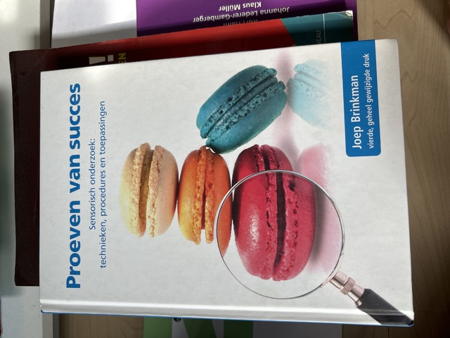 9789081923309-Proeven-van-succes