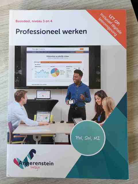 9789037223637-Professioneel-werken