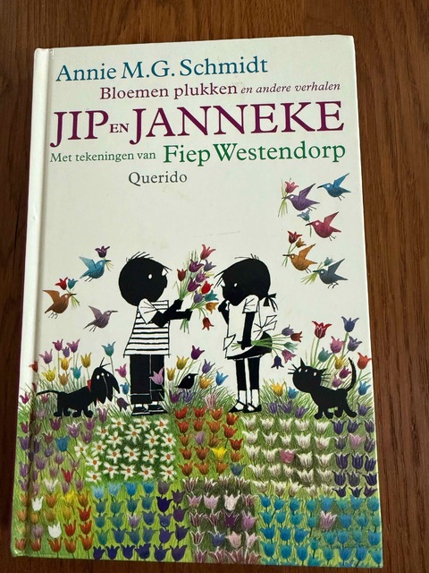 9789045102177-Jip-en-Janneke-Bloemen-plukken