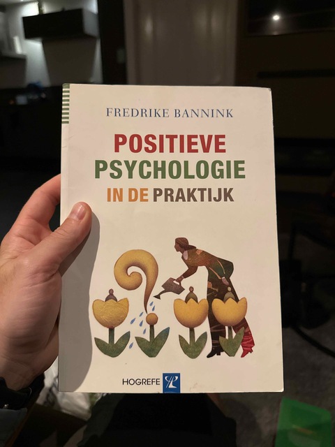 9789079729173-Positieve-psychologie-in-de-praktijk