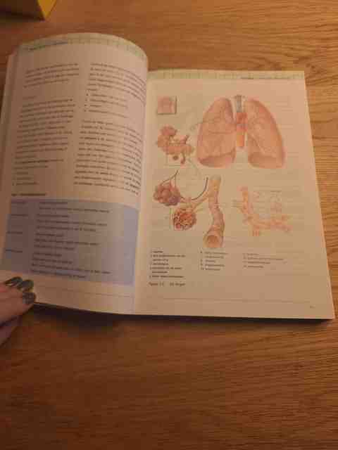 9789006952469-Klinische-pathologie