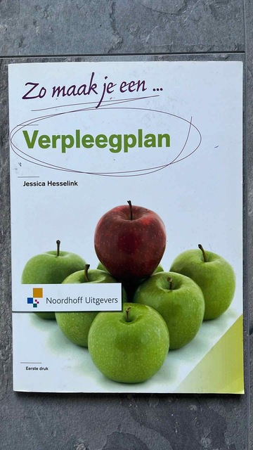 9789001804961-Zo-maak-je-een-verpleegplan