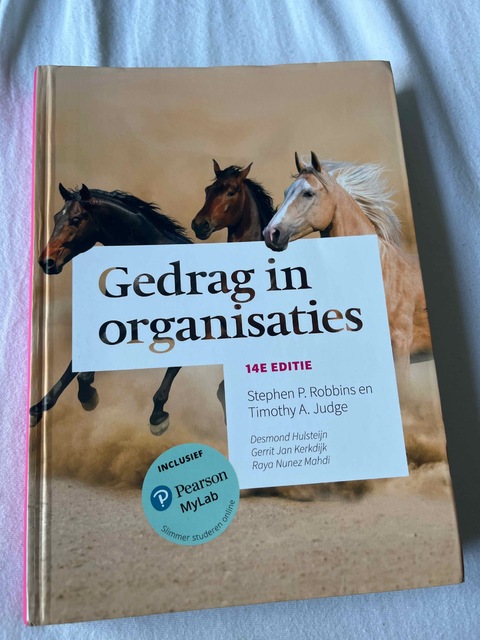9789043037204-Gedrag-in-organisaties