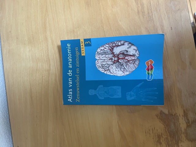 9789006952339-Atlas-van-de-anatomie-3-Zenuwstelsel-en-zintuigen