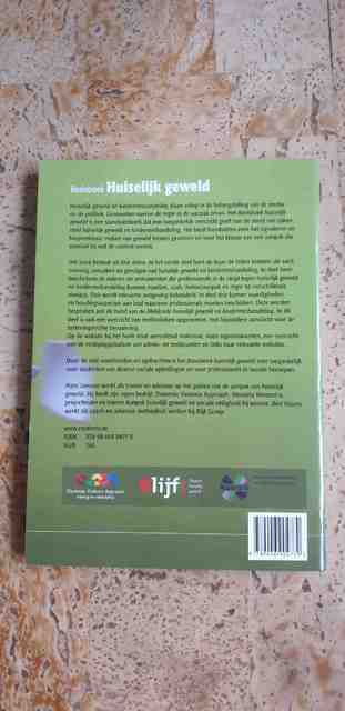 9789046904770-Basisboek-huiselijk-geweld