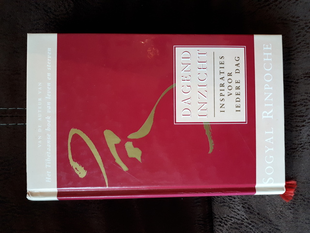 9789063254902-Dagend-inzicht