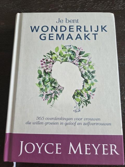 9789083058313-Je-bent-wonderlijk-gemaakt