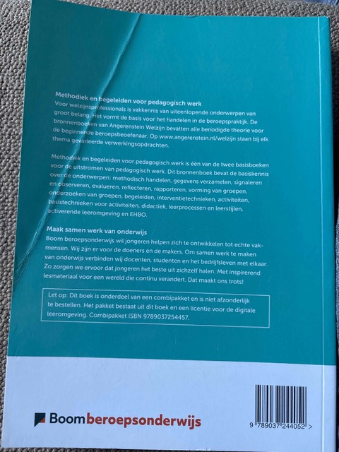 9789037244052-Methodiek-en-begeleiden-voor-pedagogisch-werk