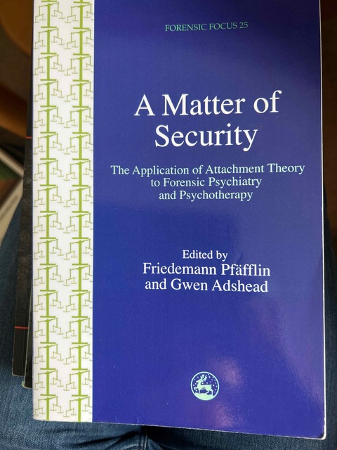 9781843101772-A-Matter-Of-Security