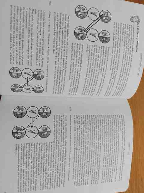 9789066655683-Einstein-En-De-Kunst-Van-Het-Zeilen