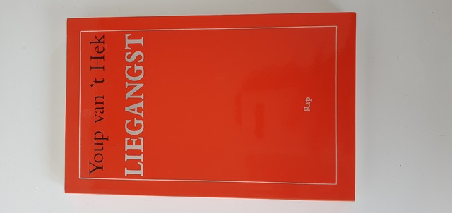 9789060054161-Liegangst