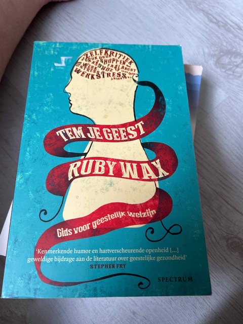 9789000334629-Tem-je-geest