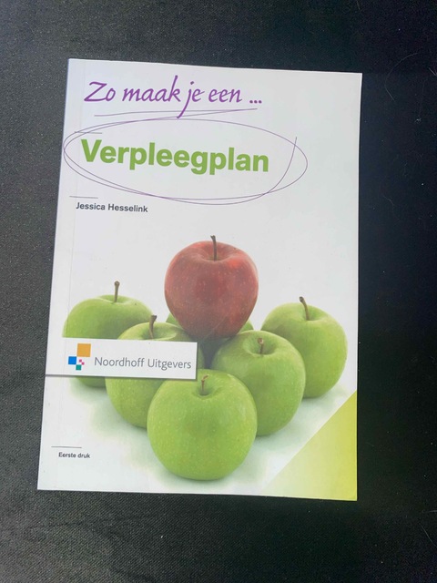 9789001804961-Zo-maak-je-een-verpleegplan