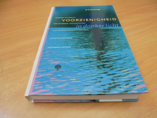 9789058291066-Voorzienigheid-in-donker-licht-druk-1