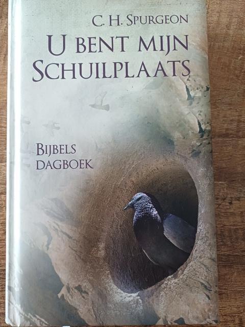 9789462780231-U-bent-mijn-schuilplaats