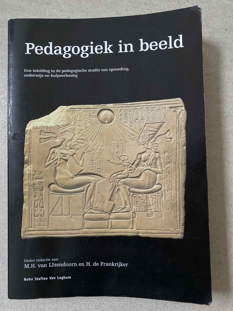 9789031339174-Pedagogiek-In-Beeld
