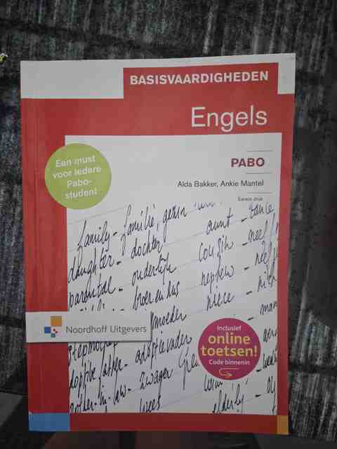 9789001817251-Basisvaardigheden-Engels-voor-de-Pabo