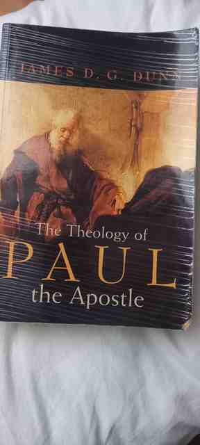 9780802844231-THE-THEOLOGY-OF-PAUL-THE-APOSTLE