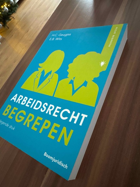 9789462907836-Arbeidsrecht-begrepen