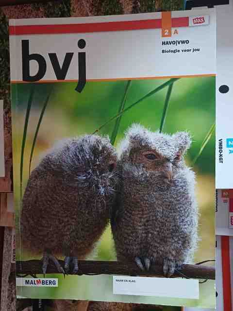 9789401064033-Basic-and-Clinical-Applications-of-Vision-Science