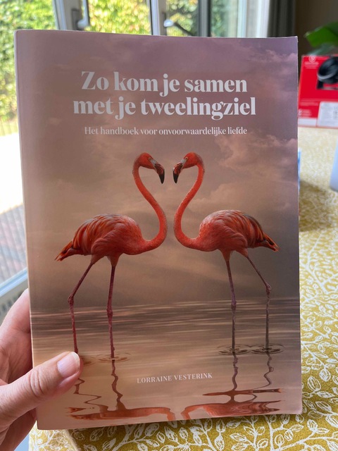 9789464377156-Zo-kom-je-samen-met-je-tweelingziel-