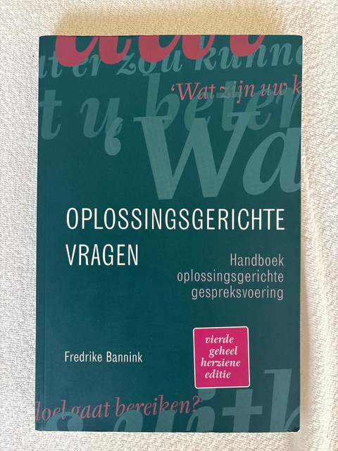 9789043036566-Oplossingsgerichte-vragen