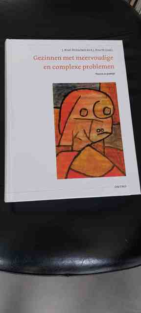 9789047711681-Gezinnen-met-meervoudige-en-complexe-problemen