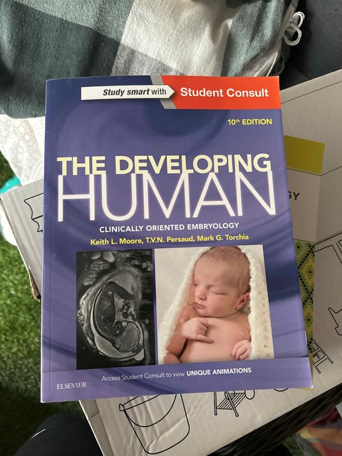 9780323313384-The-Developing-Human