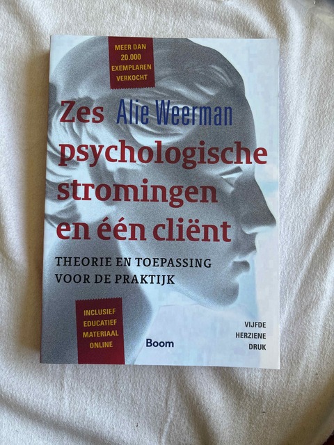 9789024402465-Zes-psychologische-stromingen-en-een-client
