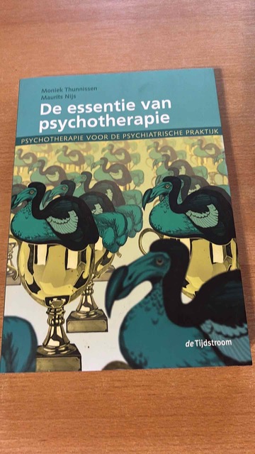 9789058981653-De-essentie-van-psychotherapie