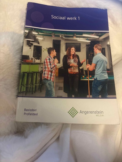 9789037229615-Sociaal-werk-1-Profieldeel-Basisdeel